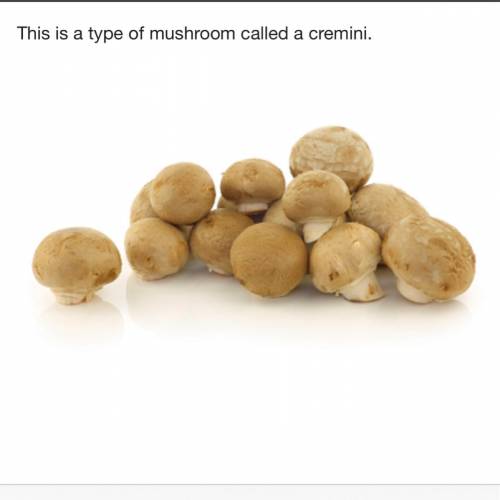 This is a type of mushroom called a cremini. Which is a physical characteristic of this mushroom? It