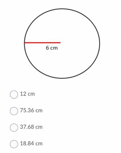 What is the circumference of the circle below?