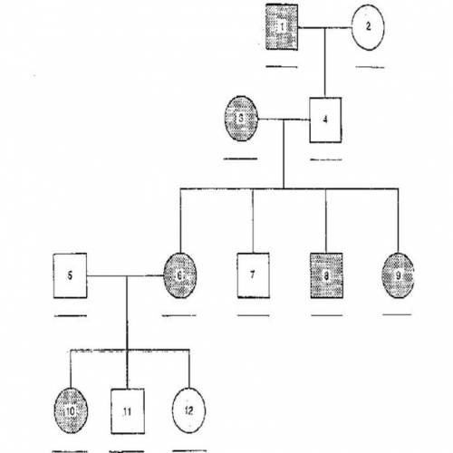 Pedigree 2-In this pedigree, the recessive trait for nearsightedness, or myopia, is shown. The shade