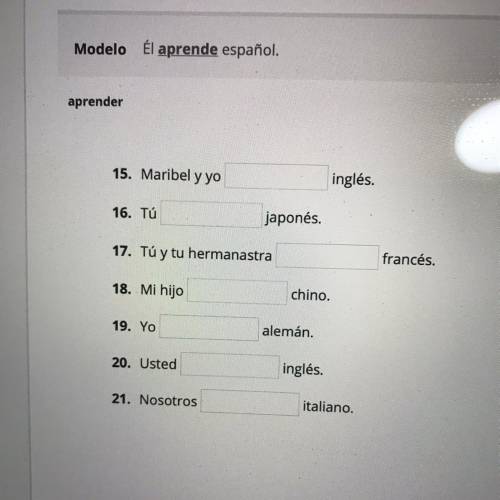 Need help plz Spanish as been a challenge for me
