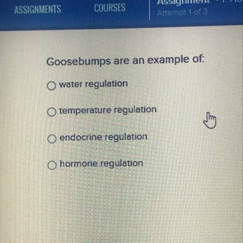 Goosebumps is an example of what?
