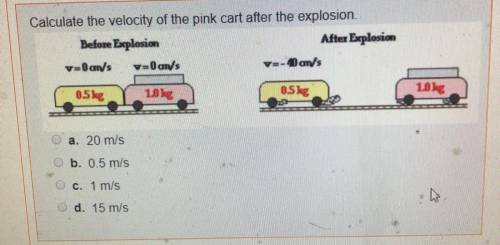 Timed quiz. Calculate the velocity of the pink car.  A. 20 m/s B. 0.5 m/s C. 1 m/s D. 15 m/s