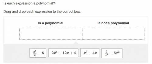 Is each expression a polynomial? Drag and drop each expression to the correct box.