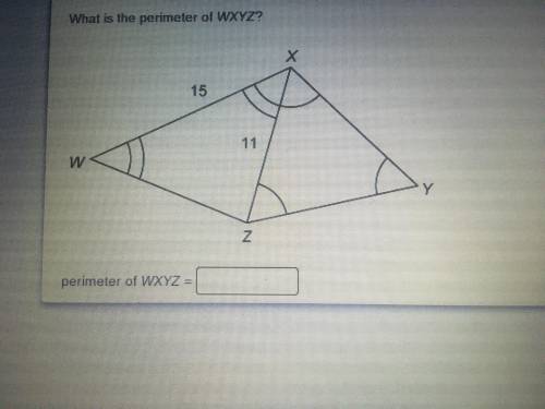 What is the perimeter of WXYZ?
