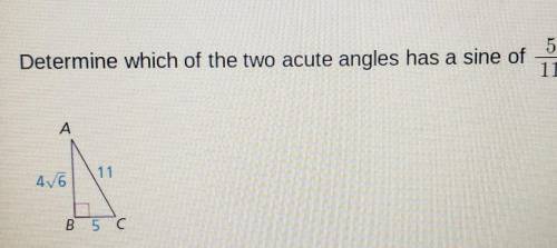 Determine which of the two acute angles has a sine of5/11 (inverse trig ratios)