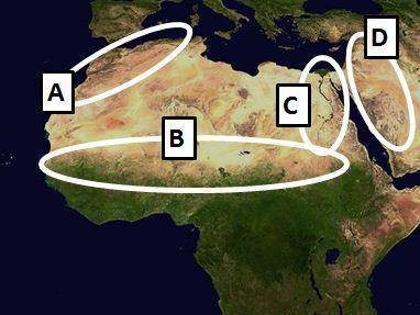 On the map above, what landform is located at oval B?A.the SahelB.the Sahara DesertC.the Nile River