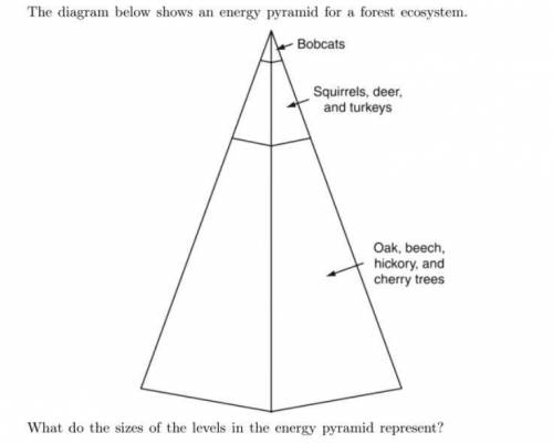 Biology Question! a)the amount of energy recycled by the organisms at each level b) the amount of en