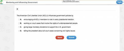 The American Civil Liberties Union (ACLU) influences government policies by...