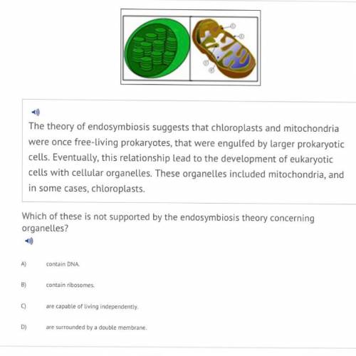 Which of these is not supported by the endosymbiosis theory concerning organelles