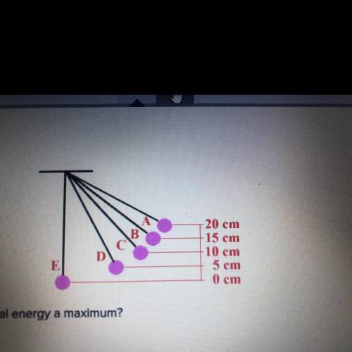 At what point in its swing is potential energy a maximum? E B D A C
