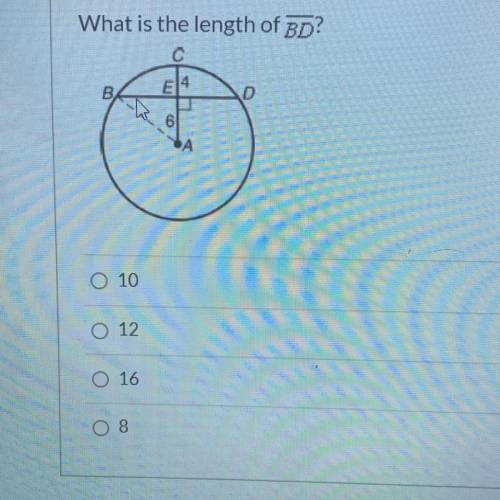 What is the length of BD?