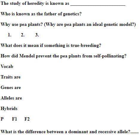 Please Help ;-; basic questions / Will mark brainliest.