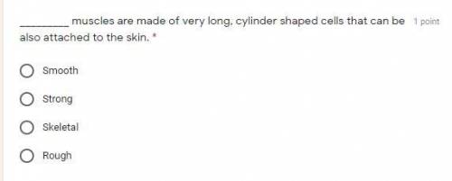 What muscles are made of very long, cylinder shaped cells that can be also attached to the skin. Ple