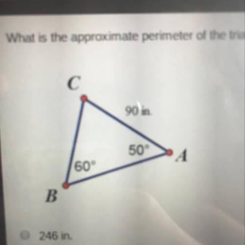 What is the approximate perimeter of the triangle below ?  256 in.  267 in.  275 in. 302 in.