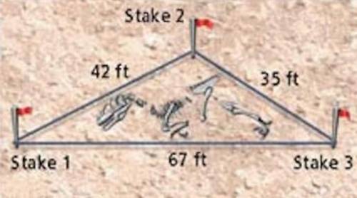 A team of archaeologists wants to dig for fossils in a triangular area marked by three stakes. The d