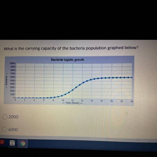 What is the carrying capacity of the bacteria population graphed below? 2000 6000 8000
