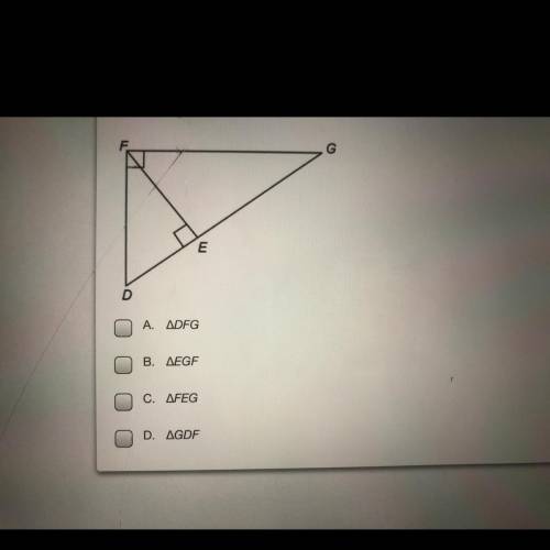 Wich triangles are similar to triangle (DEF)