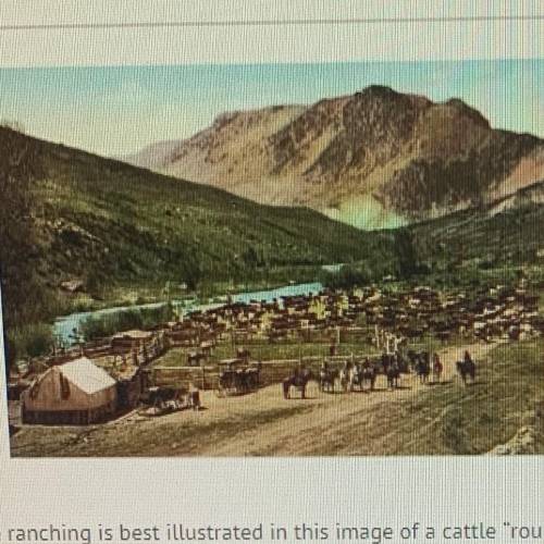 Which of these components of cattle ranching is best illustrated in this image of a cattle