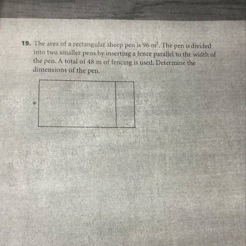 I need a solution related to quadratic equations  help please