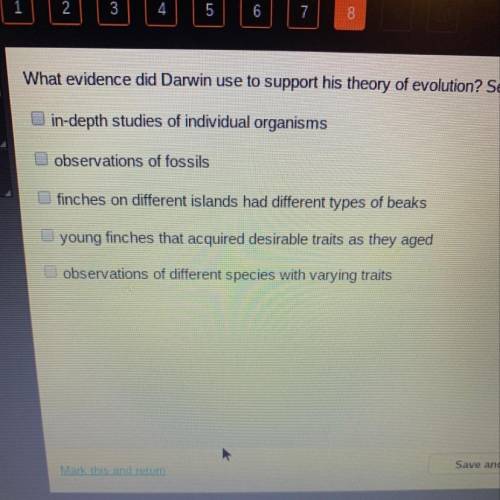 What evidence did darwin use to support his theory of evolution? Select three options