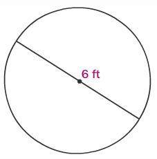 Find the area of the circle. Round to the nearest tenth.
