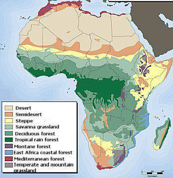 According to this map, a large part of the coast of West Africa consists of which of the following c