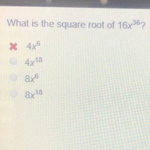 Wjat is the square root of 16x^36