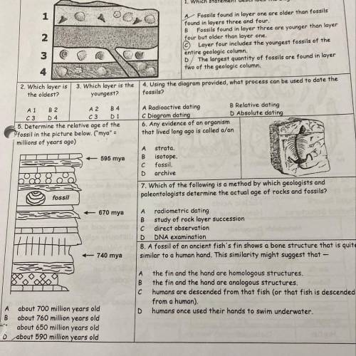 Can somebody please help me with this!