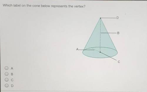 Which label on the cone below represents the vertex?