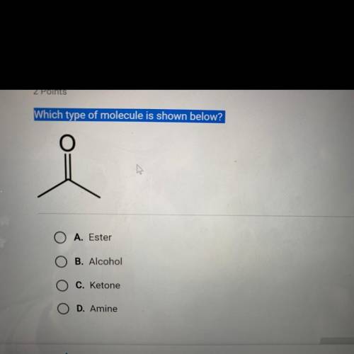 PLEASE HELP! Which type of molecule is shown below?