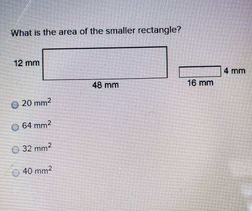What is the area of the smaller rectangle?