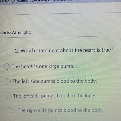 Which statement about the heart is true?