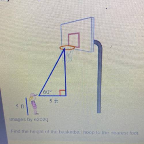 What is the height of the basketball hoop