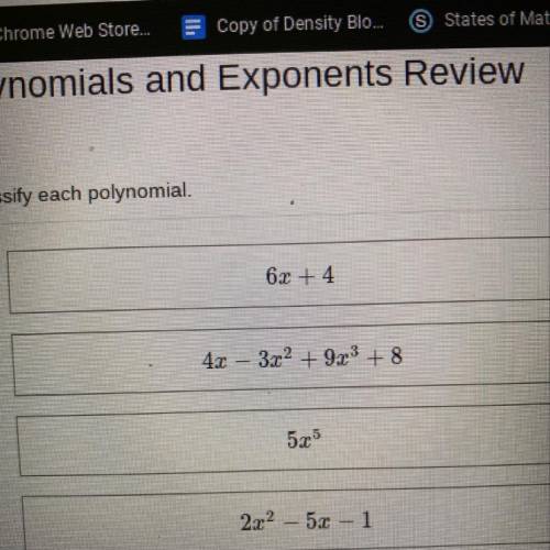 What tipe of polynomials are this ones?