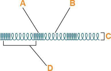 A longitudinal wave is shown. An illustration of a horizontal spring. In the spring are areas where