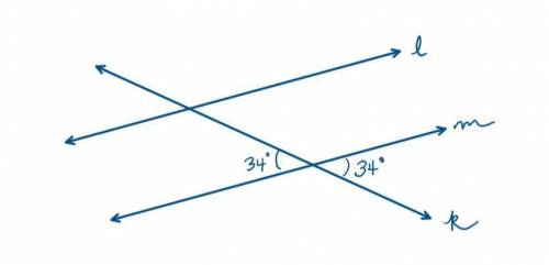 Sally says that based on the information given in the image below she knows that line and line are p