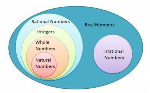 Where does  √17 belong on the Venn diagram?A) Integers B) Natural Numbers C) Rational Numbers D) Irr