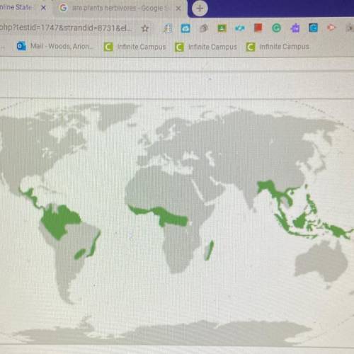 The green areas on the diagram show the world's an you conclude about the location of rainforests? l