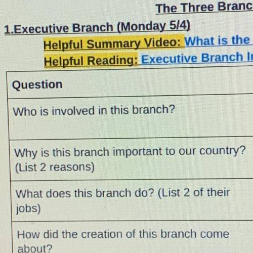 Why is the executive branch important to our country?