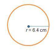 PLZ HURRY 21 POINTS AND BRAINLIEST TO WHOEVER ANSWERS FIRST What is the circumference of the circle?