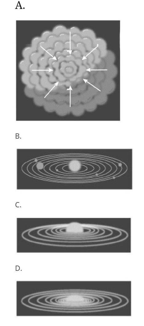 Which diagram best illustrates the stage in the formation of the solar system at which the sun forme