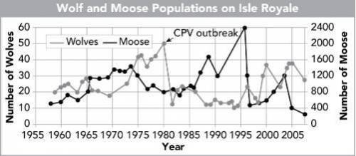 On Isle Royale, wolves are the main predators of moose. The graph shows the changing wolf and moose