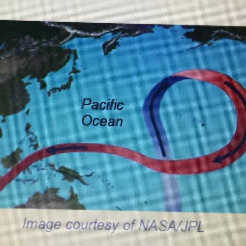 The image below shows part of an ocean current in the Pacific Ocean. The blue line represents the mo