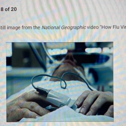 Study this still image from the National Geographic video “How Flu Viruses Attack”: Which statement