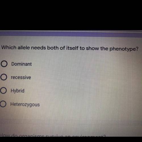 Which allele needs both of itself to show the phenotype