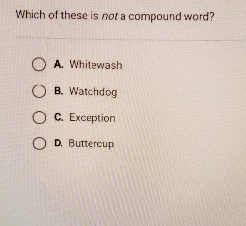 Which of these is not a compound word?A.whitewashB.watchdogC.expentionD.buttercup