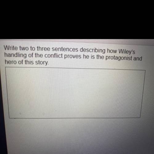 How is Wiley handling of the conflict proves he is the protagonist?