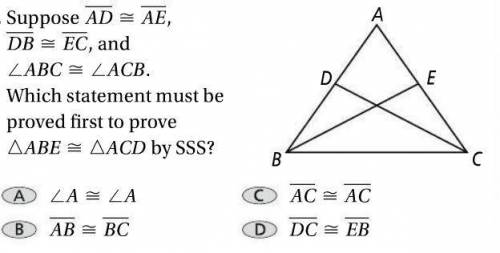 PLEASE HELP I DONT UNDERSTAND THIS QUESTION!