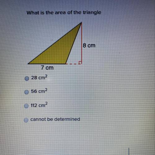 What is the area of the triangle