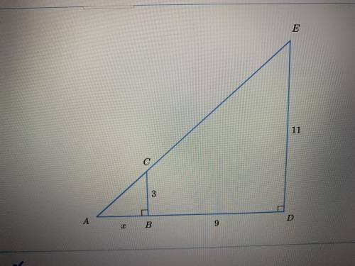 Solve for x can someone please answer please